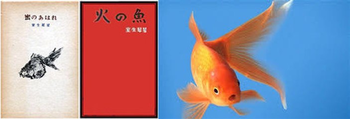 Novels Plot Summary 142: Hi no Sakana (Fish of the Fire)