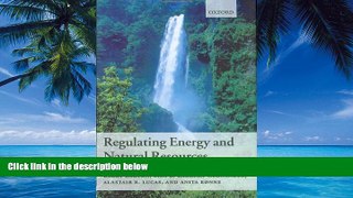 Big Deals  Regulating Energy and Natural Resources  Best Seller Books Best Seller