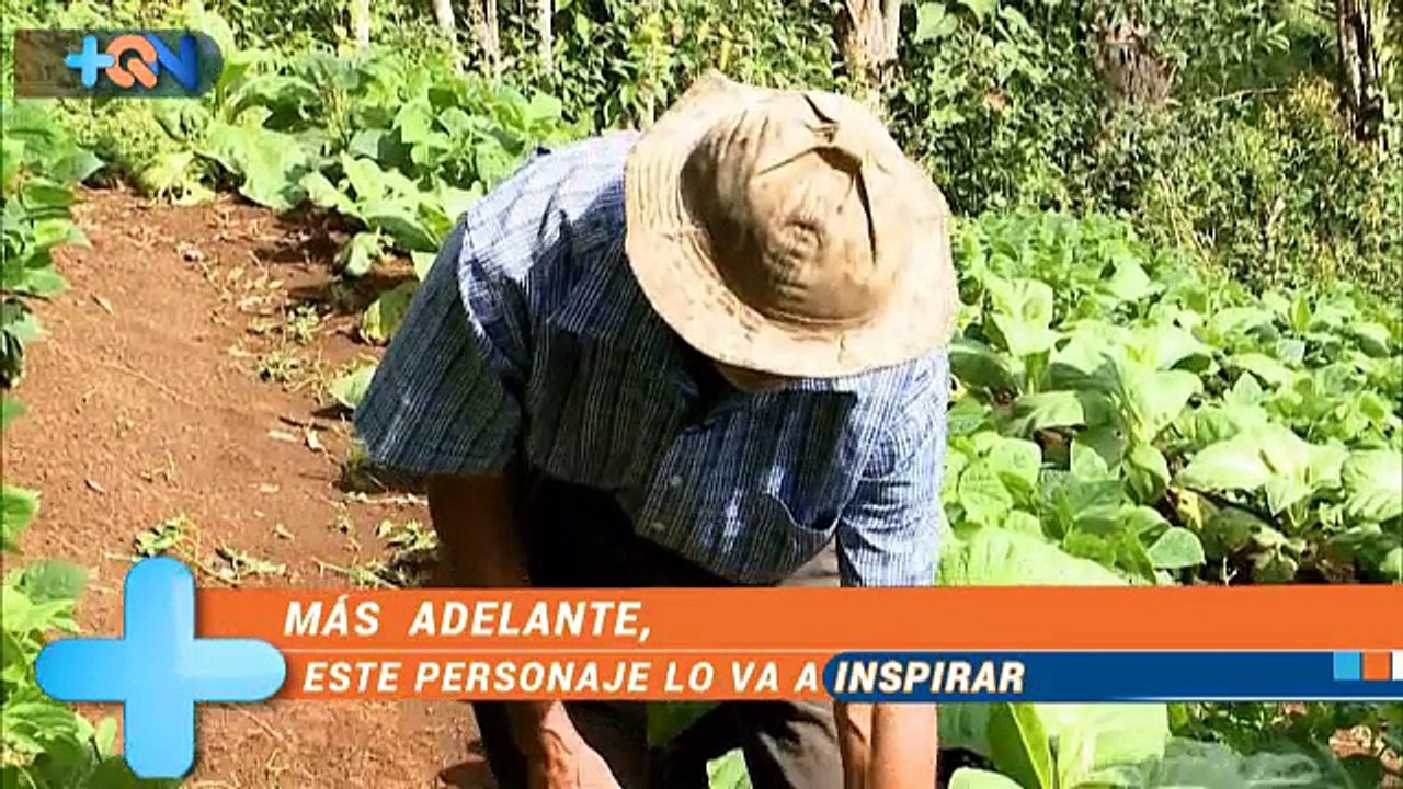 +QN 26 Octubre 2016