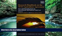 Big Deals  Research Handbook on the WTO Agriculture Agreement: New and Emerging Issues in