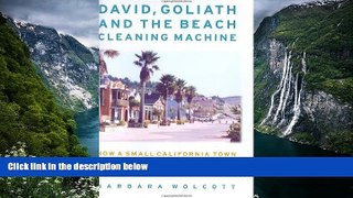 Big Deals  David, Goliath and the Beach Cleaning Machine: How a Small California Town Fought an