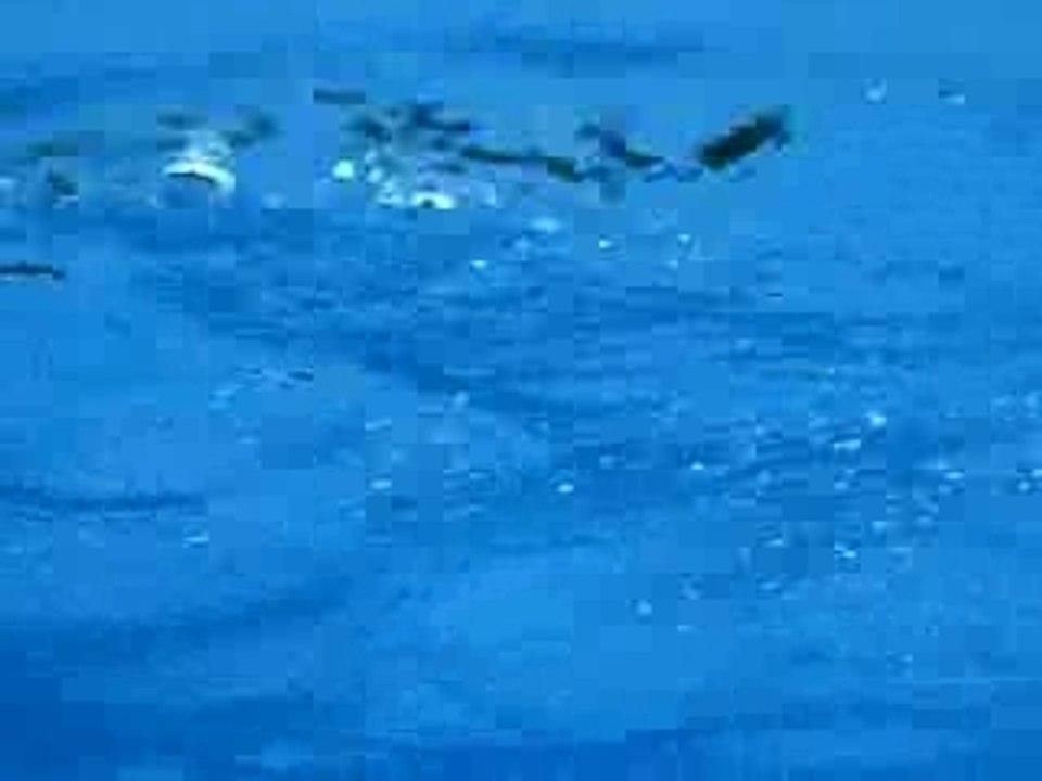 Catamaran Boat en Piscine