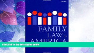 Big Deals  Family Law in America  Best Seller Books Most Wanted