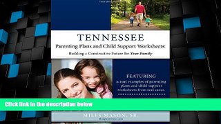 Big Deals  Tennessee Parenting Plans and Child Support Worksheets: Building a Constructive Future