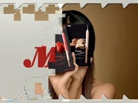 Sawajiri Erika-meiji Fran