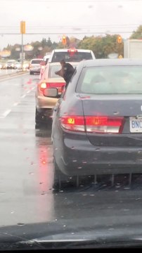 Ce chien essaye de manger toutes les gouttes de pluie par la fenêtre de sa voiture