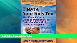 Big Deals  They re Your Kids Too: The Single Father s Guide to Defending Your Fatherhood in a