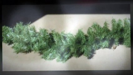 Commercial Park Districts Holiday Lighting