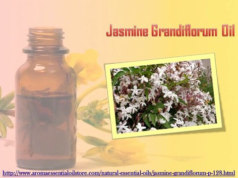 Aroma Essential Oil Store: Collect Mint Oils & Massage and Spa Oils Online