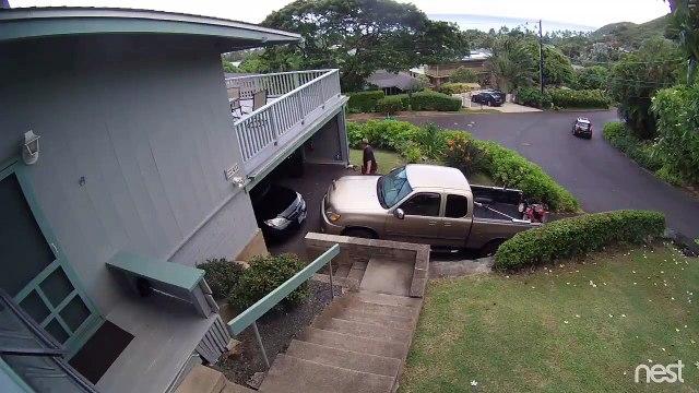 Quand ta tondeuse se fait la malle pour aller tondre chez le voisin