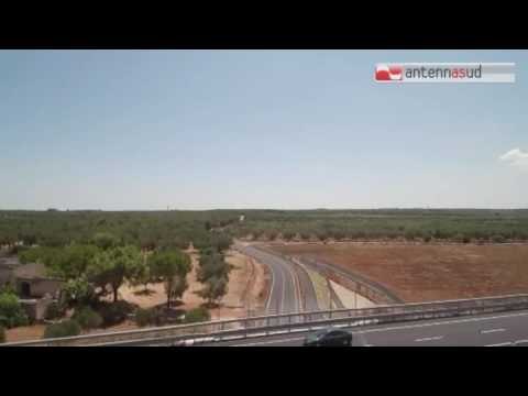 TGSRVott26 anas nuove gare per la statale maglie leuca