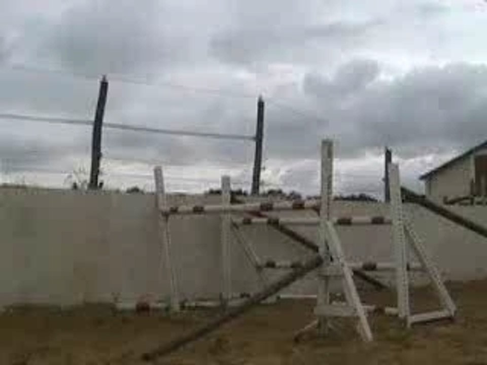 Jument AA 3ans CSO/CCE