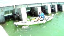 Cape Coral Man lands Largest Kayak Bottom Fish Ever Release Footage