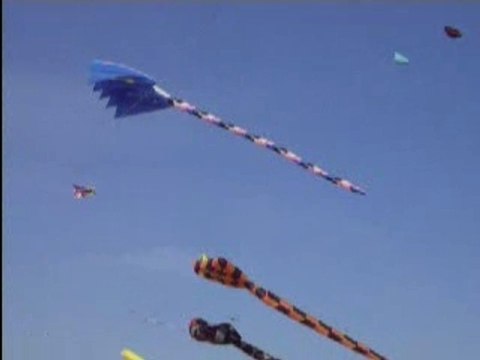 Un ciel de cerfs-volants