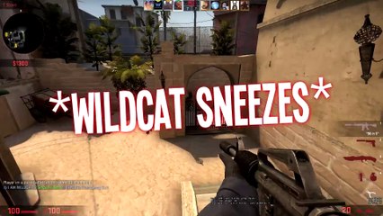CS GO FUNTAGE! - Nogla s Air Horn, Sneezing & Carnage! (CS GO Funny Moments)