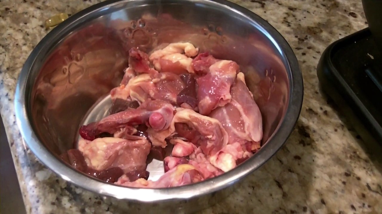 Feeding 7 month old bulldog RAW food