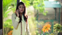 Shert Episode 10 Urdu1