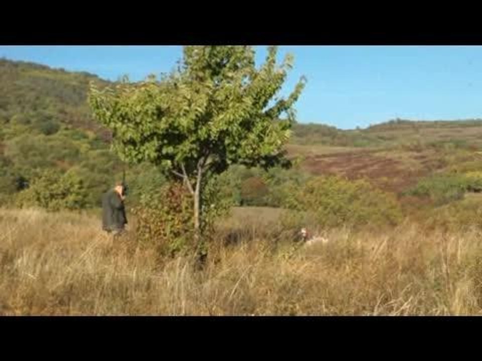 Concours St Hubert 2016 Ã  la Roche Blanche