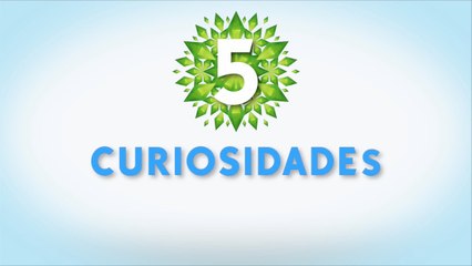 Curiosidades SIMS 4
