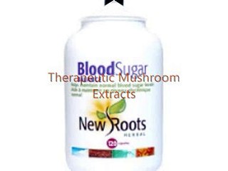 Therapeutic Mushroom Extracts