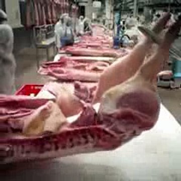 Faites attention... Beware! Bonbons gélatine gelatin candies