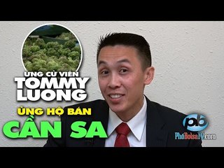 "Cho mở tiệm cần sa sẽ tạo ra ngân sách mà không cần tăng thuế."