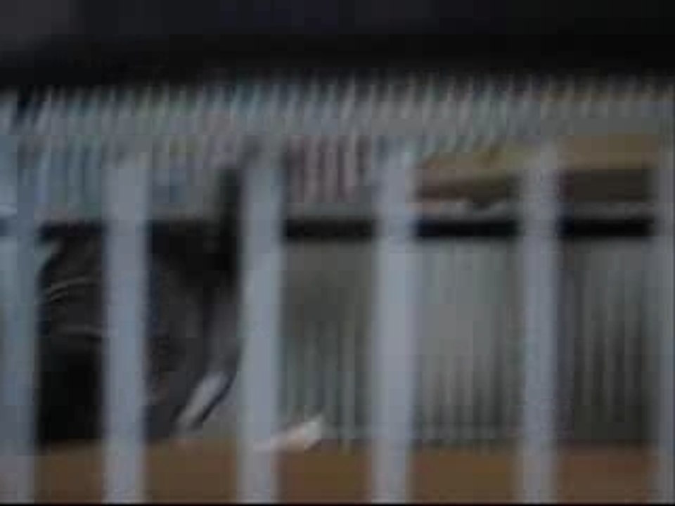 Cage_0001