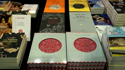 Pascal Ory - a belle illusion : culture et politique sous le signe du Front populaire