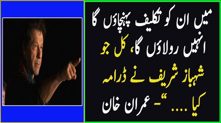 I will give them pain, make them cry, Shahbaz Sharif should win an academy award for his performance - Imran Khan