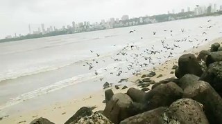 Amazing Slow motion video of Morning at marinedrive, Mumbai