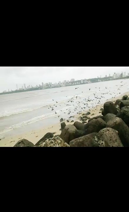 Amazing Slow motion video of Morning at marinedrive, Mumbai