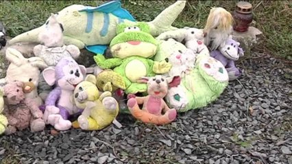 Raporti për 'MH17" - Top Channel Albania - News - Lajme