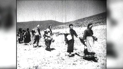 Deklarata e Hahn për çështjen çame, reagon ashpër Athina - Top Channel Albania - News - Lajme