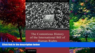Books to Read  The Contentious History of the International Bill of Human Rights (Cambridge