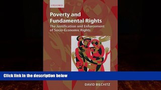 Books to Read  Poverty and Fundamental Rights: The Justification and Enforcement of Socio-economic