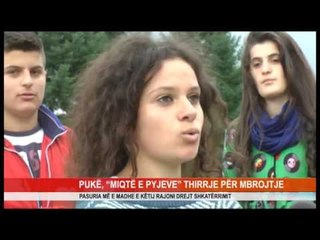 PUKË, “MIQTË E PYJEVE” THIRRJE PËR MBROJTJE