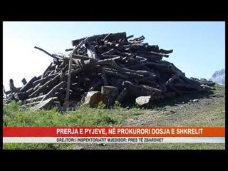 PRERJA E PYJEVE, NË PROKURORI DOSJA E SHKRELIT