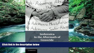 Books to Read  Srebrenica in the Aftermath of Genocide  Full Ebooks Most Wanted