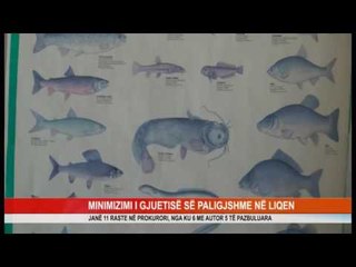 MINIMIZIMI I GJUETISË SË PALIGJSHME NË LIQEN