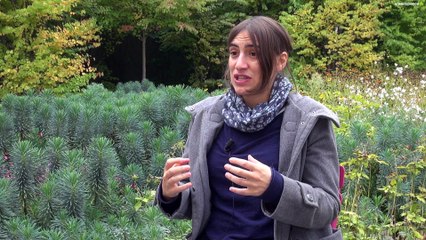 Eléonora Capocasa et les ondes gravitationnelles