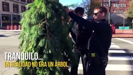 Vestirse de árbol es MALA idea y este hombre lo confirma