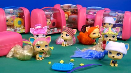 Mascotas Vip Pets