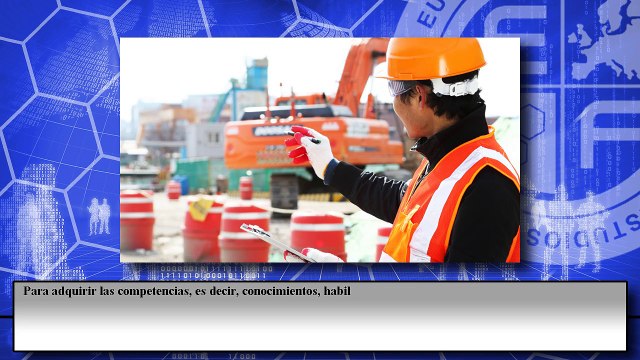 Tarjeta Profesional del Metal (TPM). Electricidad