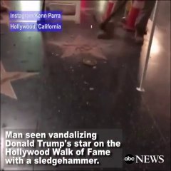Un homme détruit l'étoile Hollywood de Donald TRump