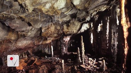 Are Cavemen Responsible For The Extinction Of An Entire Species?