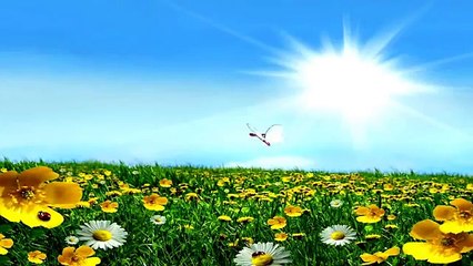 Ghost Scary Pop Up Warning Scary Video Funny Scary Prank Scary Pranks 2015 Video Dailymotion