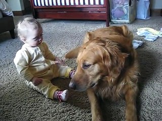 Bebe Descubre A Su Perro, SUPER TIERNO â˜… bebes divertidos   risa bebe   bebes chistosos   bebe humor
