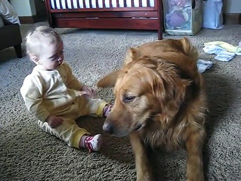 Bebe Descubre A Su Perro, SUPER TIERNO â˜… bebes divertidos risa bebe bebes chistosos bebe humor