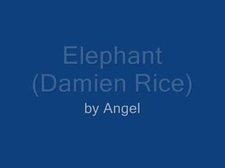 Elephant (Damien Rice) By Angel