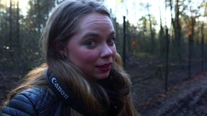 Locatie Scouten! - #80 World Of Cinemates